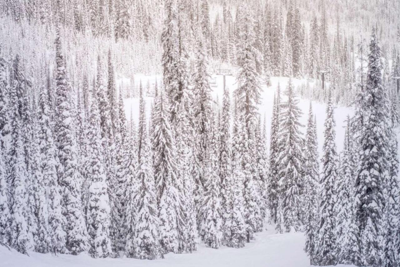 Willa Shadowbrook 103 Snowmass Village Zewnętrze zdjęcie
